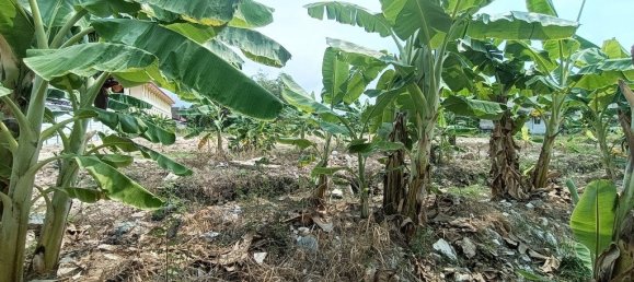  Commercial property in Pattaya, Thailand No. 374 13