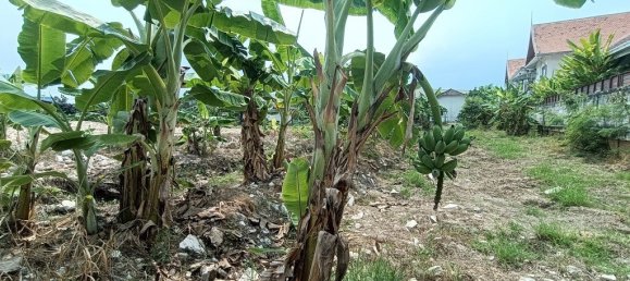  Commercial property in Pattaya, Thailand No. 374 14