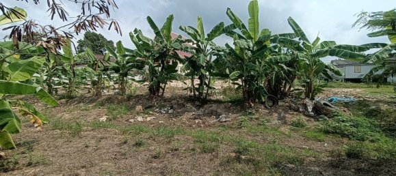  Commercial property in Pattaya, Thailand No. 374 7