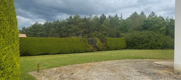 Gewerbliche Immobilie in Selles-sur-Cher, France 180m², Nr. 63234 2