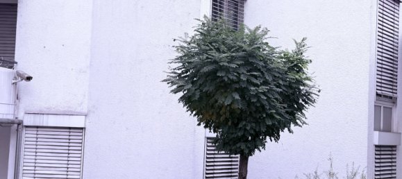 Квартира с 1 спальней в Висбаден, Германия № 29134 18