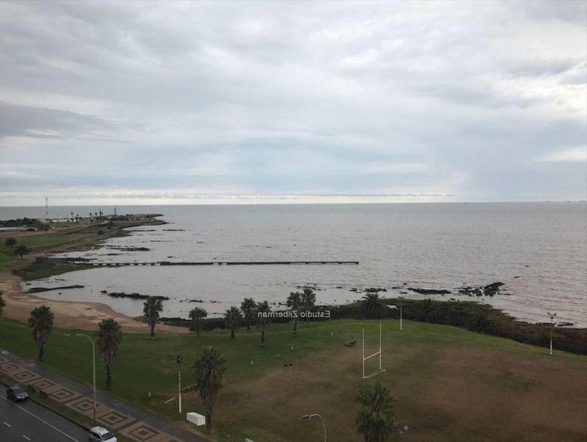 3 Schlafzimmer Wohnung in Montevideo, Uruguay, Nr. 5230