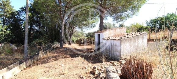 4 غرف نوم منزل في Silves, Portugal رقم 88308 12