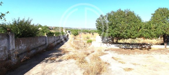 4 غرف نوم منزل في Silves, Portugal رقم 88308 29