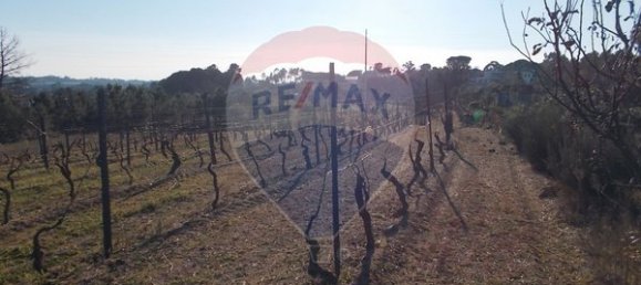 Grundstück in Viseu, Portugal 7740m², Nr. 47178 3