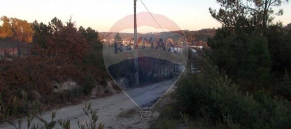 Grundstück in Viseu, Portugal 7740m², Nr. 47178 10