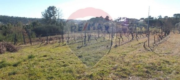 Grundstück in Viseu, Portugal 7740m², Nr. 47178 4