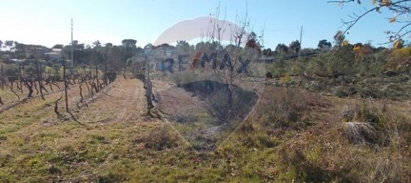 Grundstück in Viseu, Portugal 7740m², Nr. 47178 12