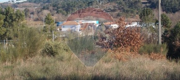 Grundstück in Viseu, Portugal 7740m², Nr. 47178 5