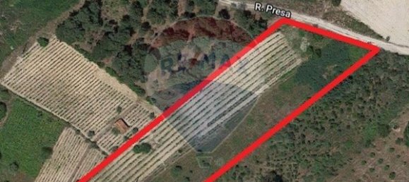 Grundstück in Viseu, Portugal 7740m², Nr. 47178 7