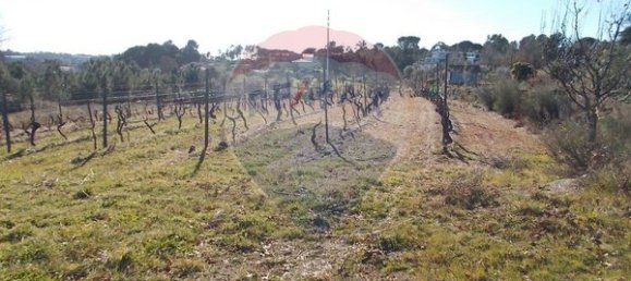 Grundstück in Viseu, Portugal 7740m², Nr. 47178 2