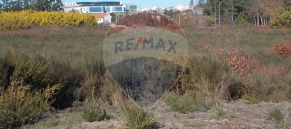 Grundstück in Viseu, Portugal 7740m², Nr. 47178 9