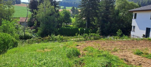  Land in Alland, Austria No. 212808 3