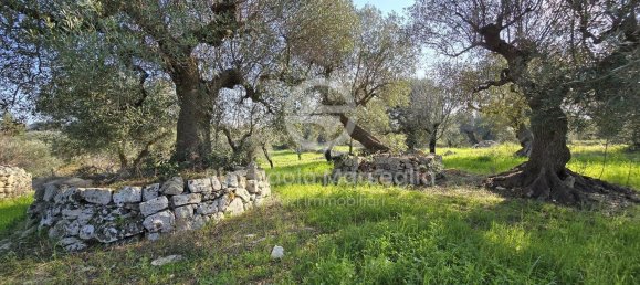 Casa de 7 divisões em Monopoli, Italy N.º 298036 49