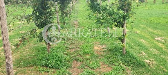 Casa de 6 divisões em Grosseto, Italy N.º 101919 14