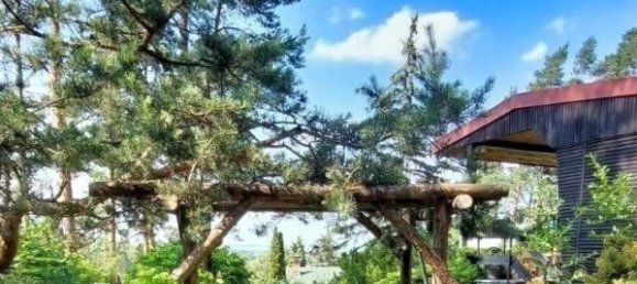 2 rooms House in Gotha, Germany No. 131424 24