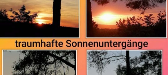 2 rooms House in Gotha, Germany No. 131424 33