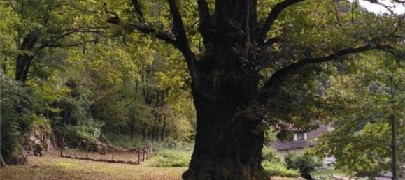 8 rooms House in Crodo, Italy No. 38114 30