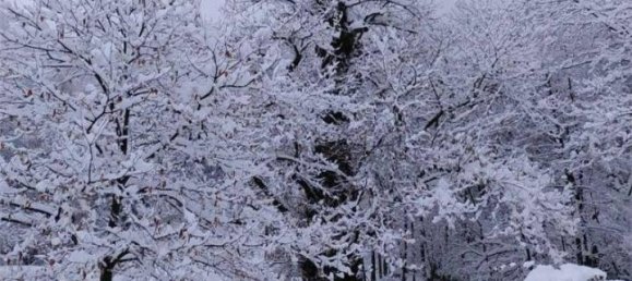 8 rooms House in Crodo, Italy No. 38114 32