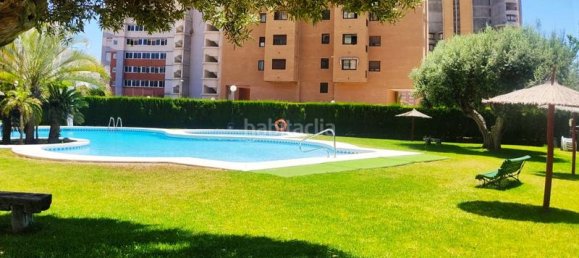 4 bedrooms Apartment in Benidorm, Spain No. 82551 11
