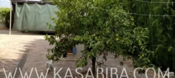 4 bedrooms House in Alzira, Spain No. 72026 27