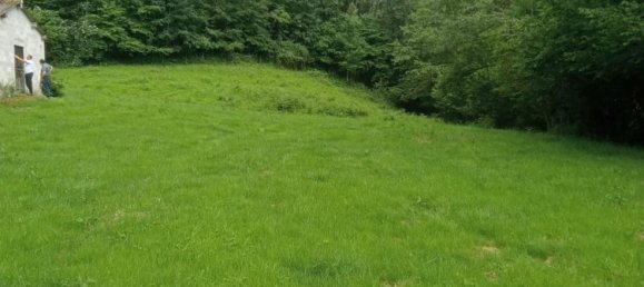  Land in Pilona, Spain No. 166288 10