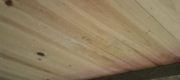  Land in Pilona, Spain No. 166288 7