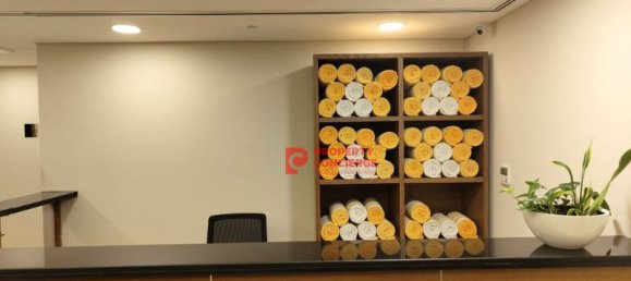 2 Schlafzimmer Wohnung in Bur Dubai, UAE, Nr. 42502 14