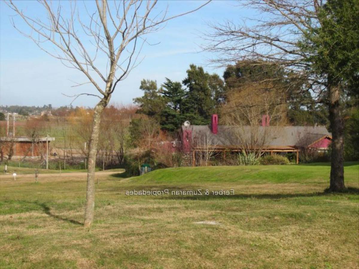 Terrain à Canelones, Uruguay No. 15219