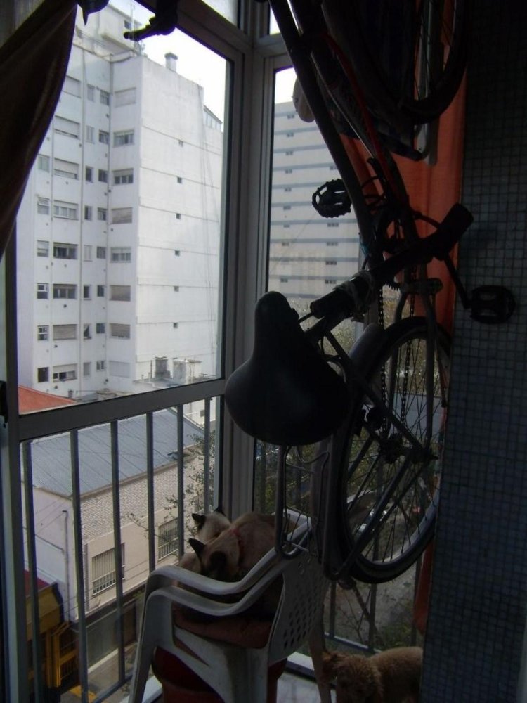 3 bedrooms Apartment in Mar del Plata, Argentina No. 101176