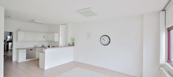 Lagerhaus in Rhein-Neckar-Kreis, Germany 557m², Nr. 233988 14