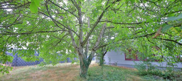 Lagerhaus in Rhein-Neckar-Kreis, Germany 557m², Nr. 233988 13