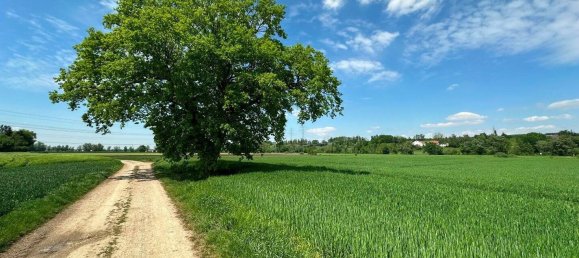 Grundstück in Dachau, Germany, Nr. 184401 2
