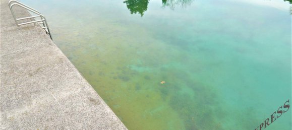 3غرفة منزل في Ebreichsdorf, Austria رقم 140840 2