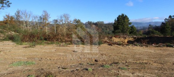 Terrain à Povoa de Lanhoso, Portugal 447m² No. 80520 11