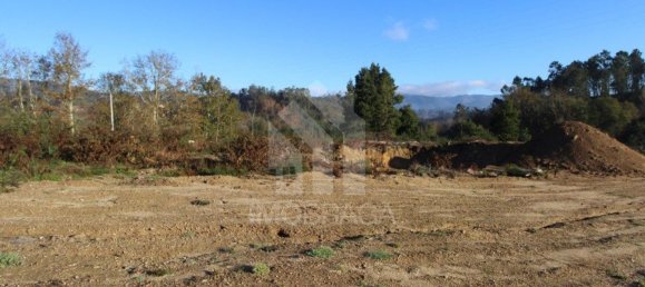 Terrain à Povoa de Lanhoso, Portugal 447m² No. 80520 10