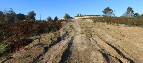 Terrain à Povoa de Lanhoso, Portugal 447m² No. 80520 12