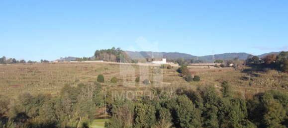 Terrain à Povoa de Lanhoso, Portugal 447m² No. 80520 19