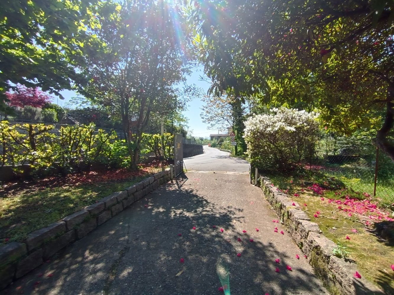  عقار تجاري في Baveno, Italy 90متر مربع رقم 81043