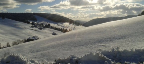 16-salle Hôtel à Lorrach, Germany No. 61699 24