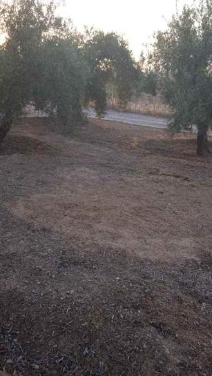  قطعة أرض في Granada, Spain 1585متر مربع رقم 257566