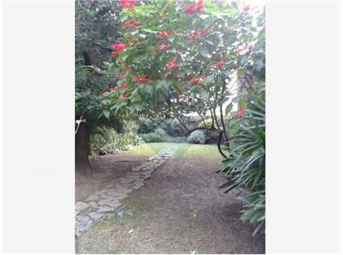 Studio in Buenos Aires, Argentina No. 87032