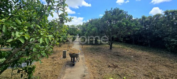 3 Schlafzimmer Haus in Rabo de Peixe, Portugal, Nr. 295601 31