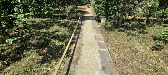 3 Schlafzimmer Haus in Rabo de Peixe, Portugal, Nr. 295601 30