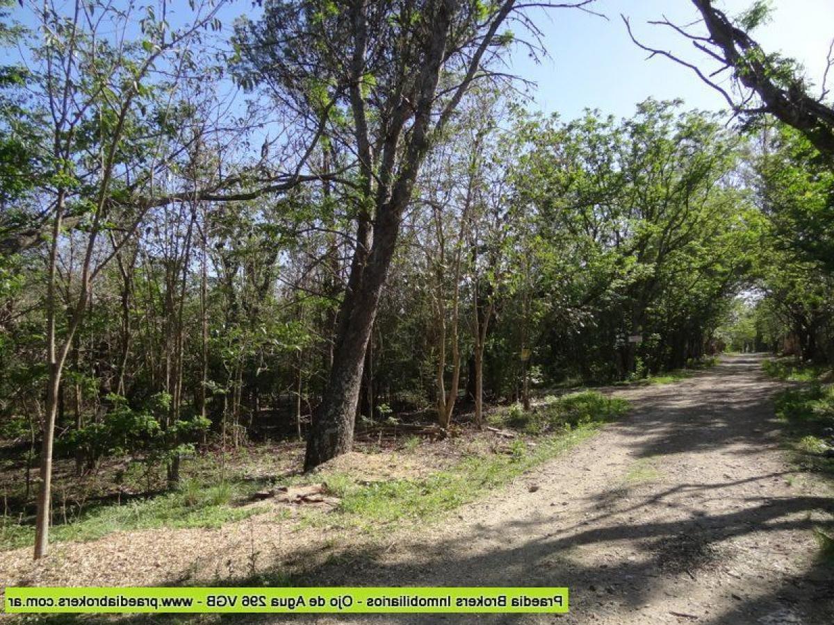  Land in Cordoba, Argentina No. 37085