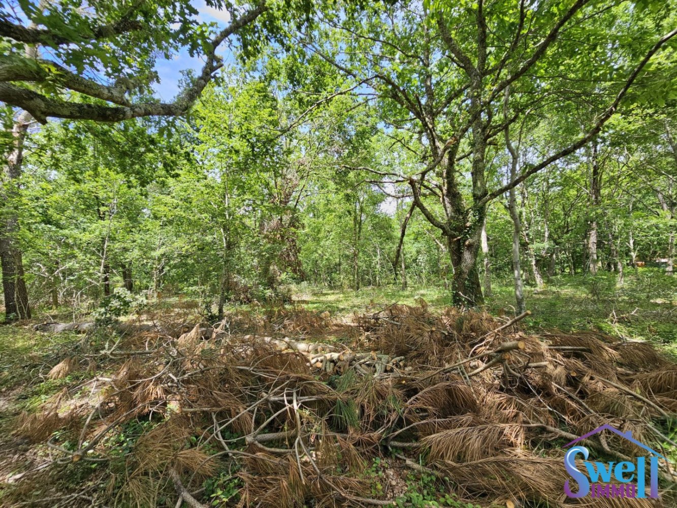 1502m² Land in Mezos, France No. 118745