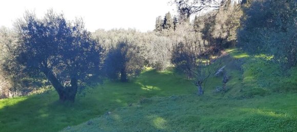 7000m² Hotel in Corfu, Greece No. 3741 21