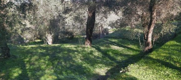 7000m² Hotel in Corfu, Greece No. 3741 7