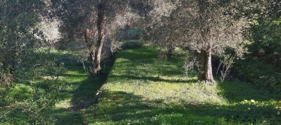 7000m² Hotel in Corfu, Greece No. 3741 6