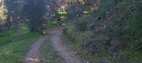 7000m² Hotel in Corfu, Greece No. 3741 22